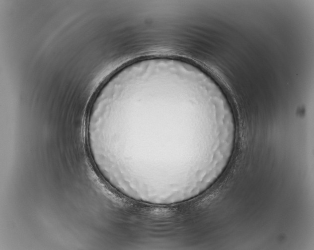 X0000111920839200908171322