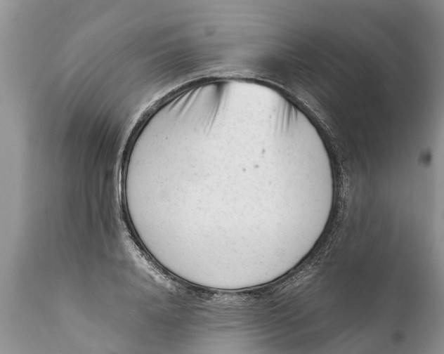 X0000111920840200908171322