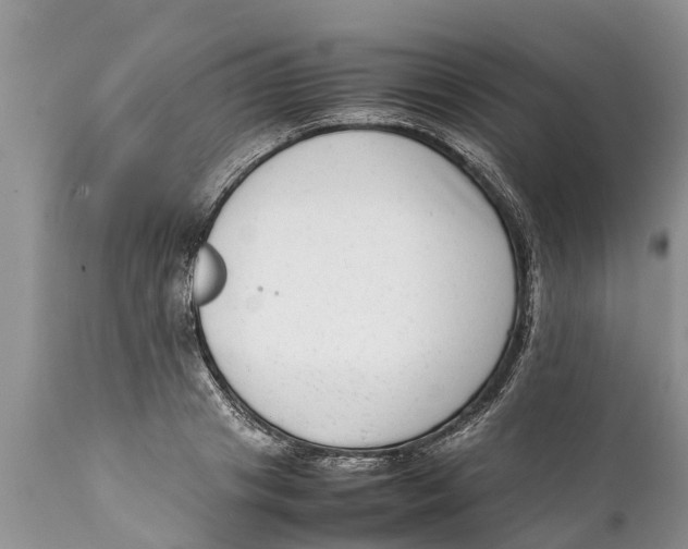 X0000111920841200908171322