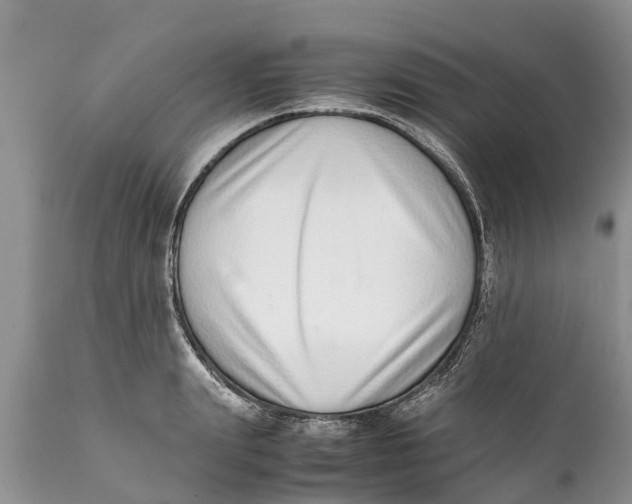 X0000111920847200908171322