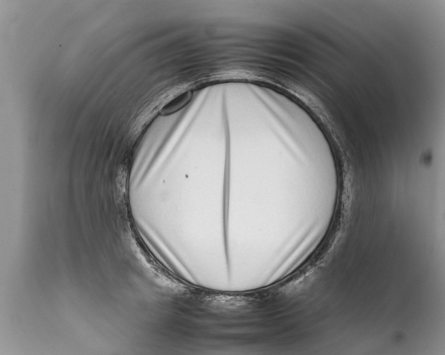 X0000111920849200908171322