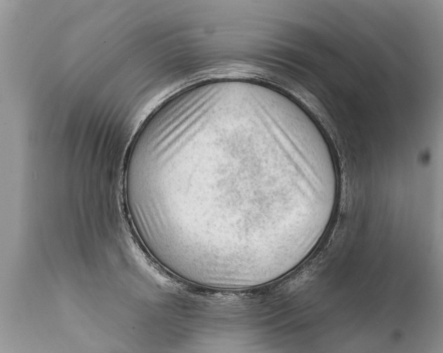 X0000111920850200908171322