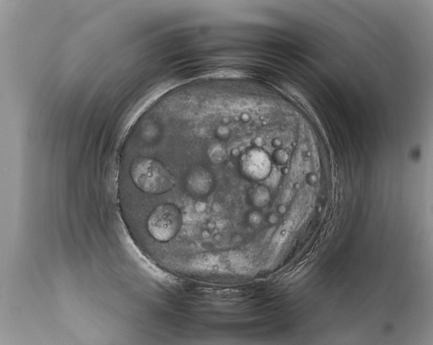 X0000111920851200908171322