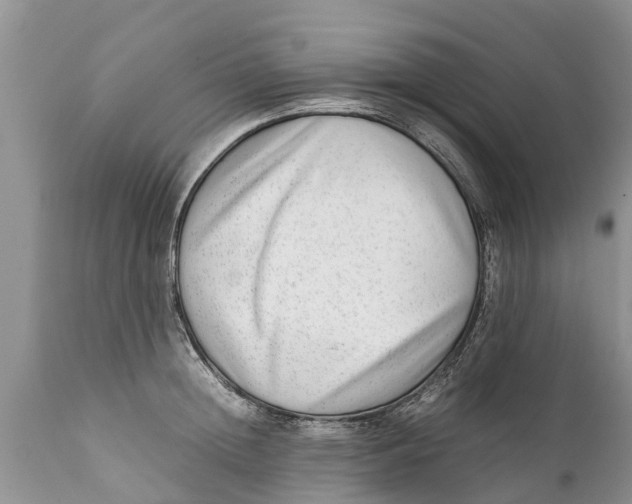 X0000111920852200908171322