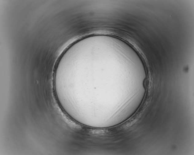 X0000111920853200908171322