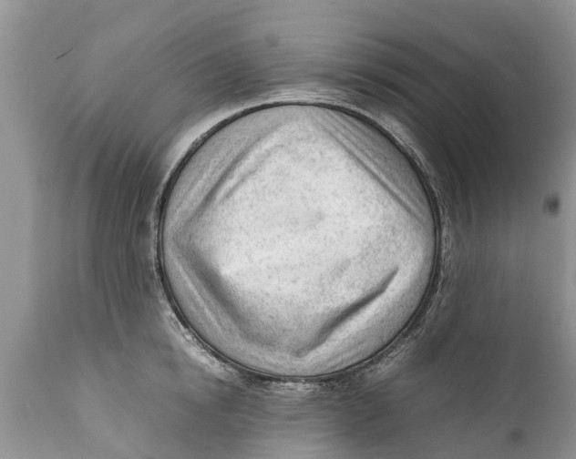 X0000111920854200908171322