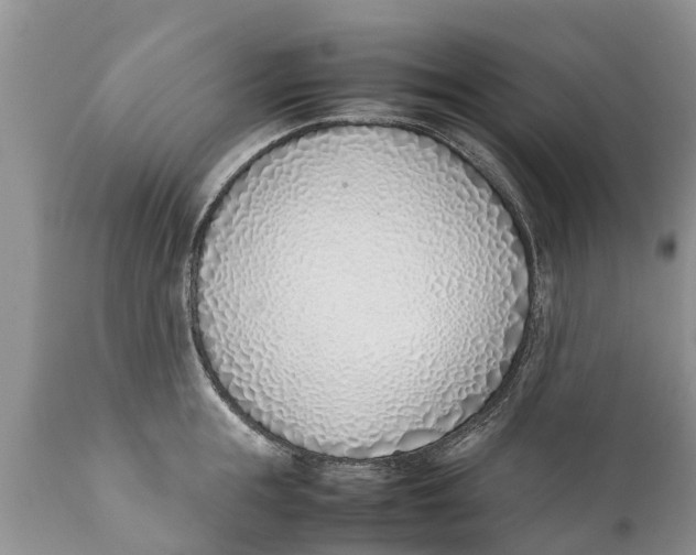 X0000111920855200908171322