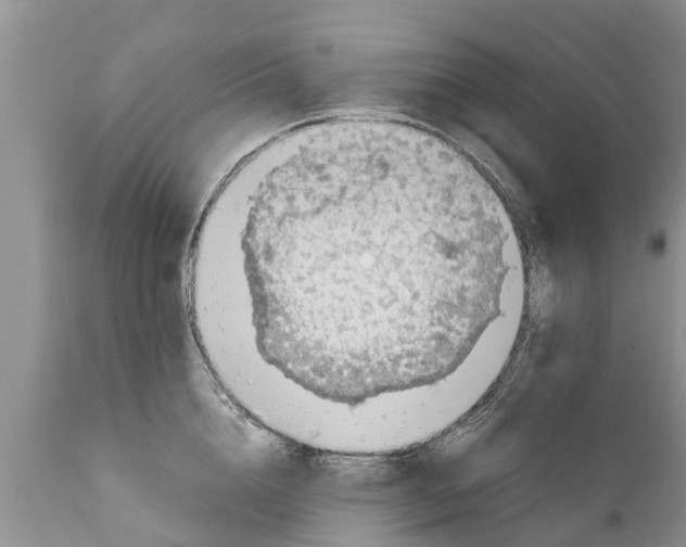 X0000111920856200908171322