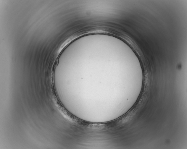 X0000111920858200908171323