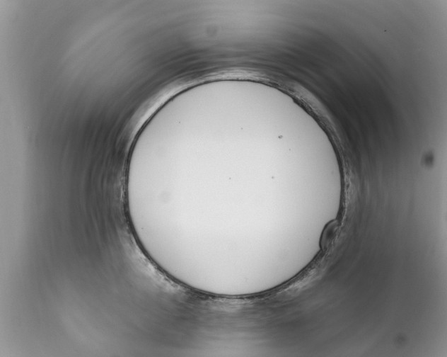 X0000111920860200908171323