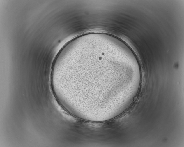 X0000111920861200908171323