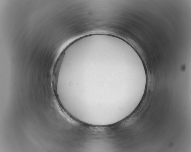 X0000111920862200908171323