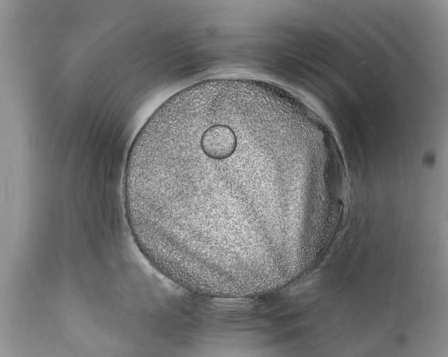 X0000111920863200908171323