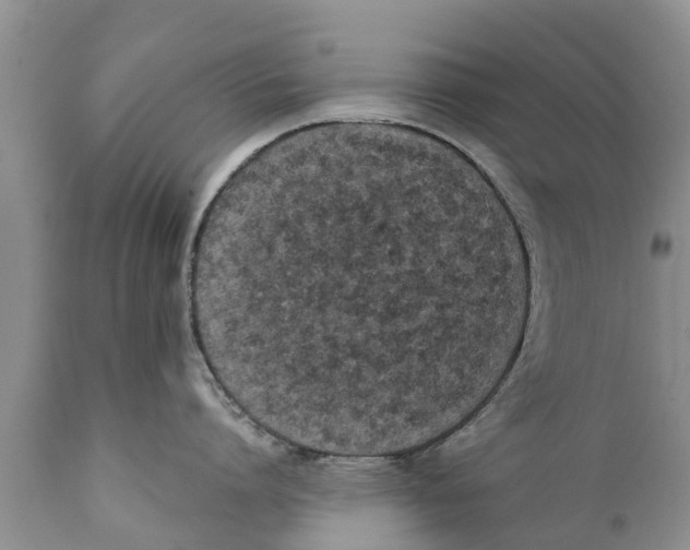 X0000111920864200908171323