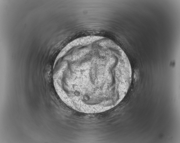 X0000111920867200908171322