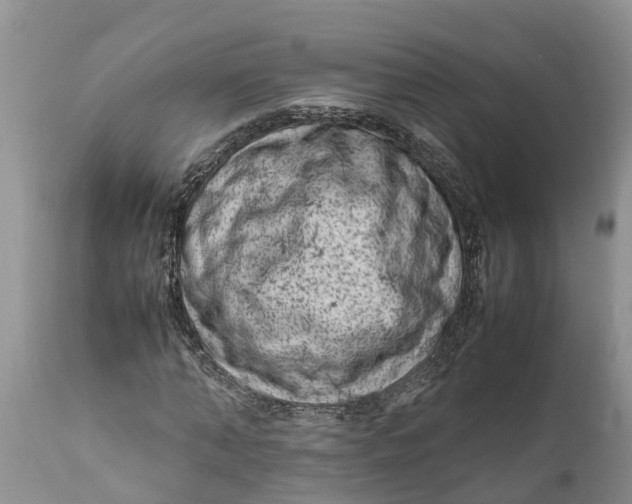 X0000111920870200908171322