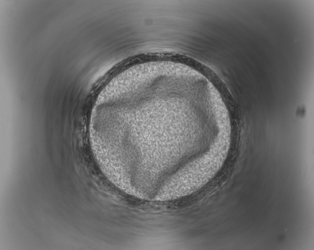 X0000111920871200908171322