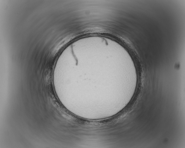 X0000111920873200908171322