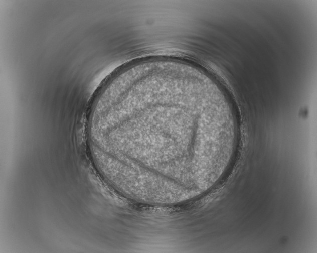 X0000111920875200908171322