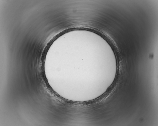 X0000111920876200908171322