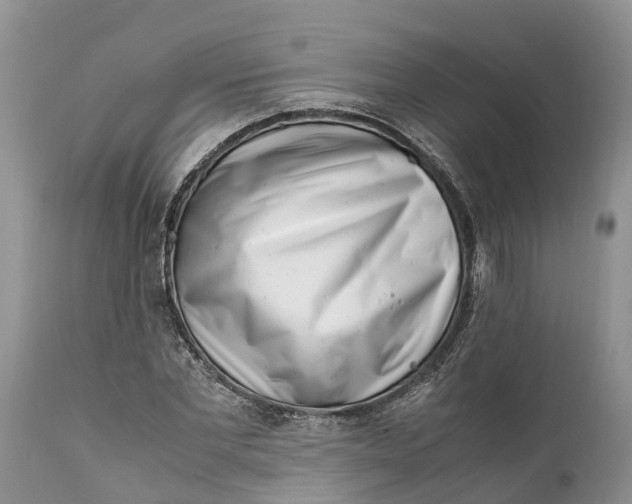 X0000111920877200908171322