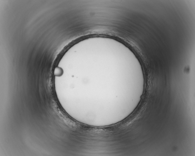 X0000111920880200908171322