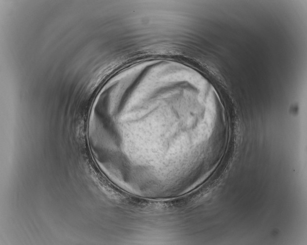 X0000111920881200908171322