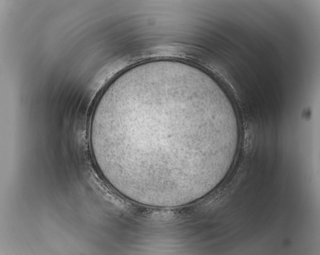 X0000111920882200908171322