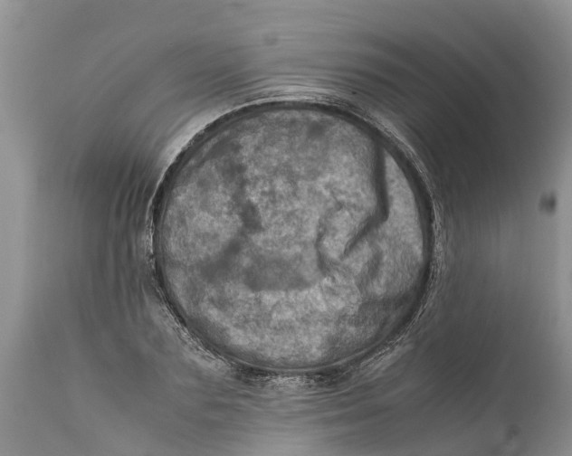 X0000111920883200908171322