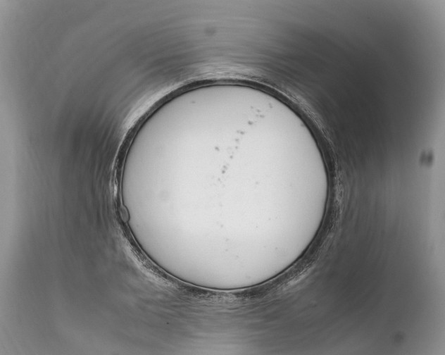 X0000111920885200908171321