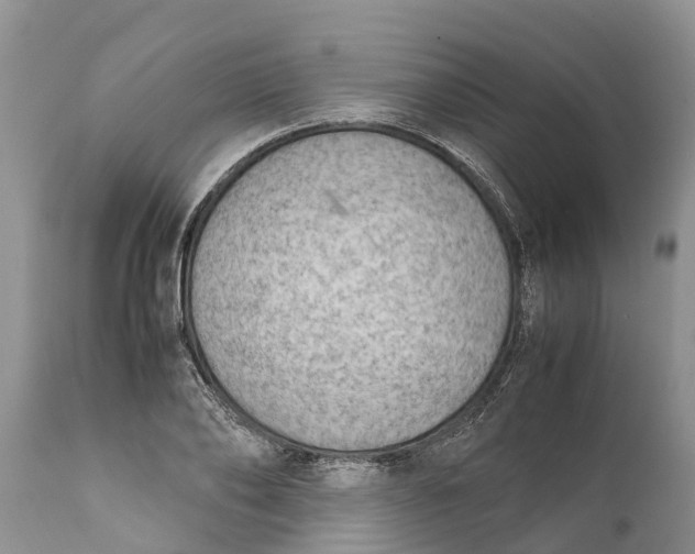 X0000111920886200908171321