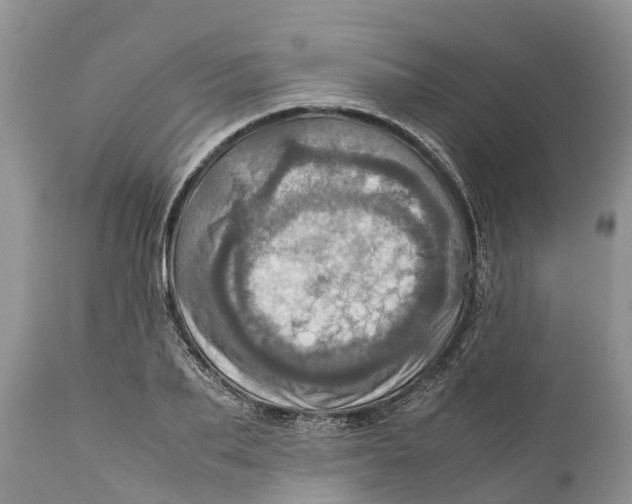 X0000111920887200908171321