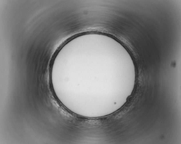 X0000111920888200908171321