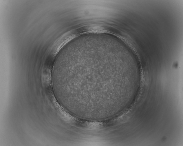 X0000111920889200908171321