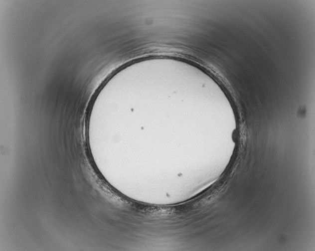 X0000111920891200908171321