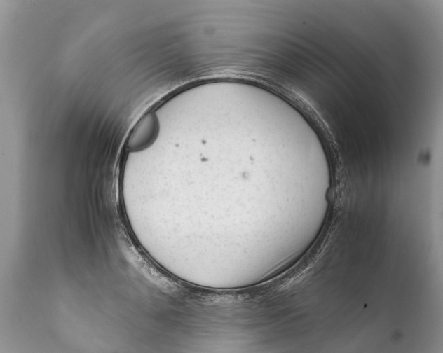 X0000111920892200908171321