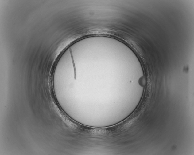 X0000111920893200908171321