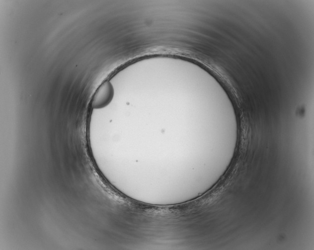 X0000111920896200908171321