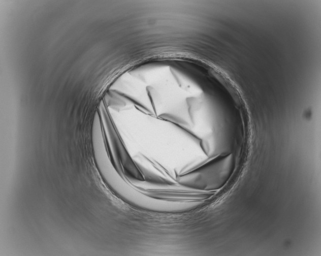 X0000111920897200908171321