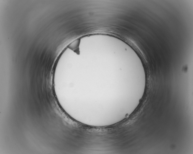 X0000111920900200908171321