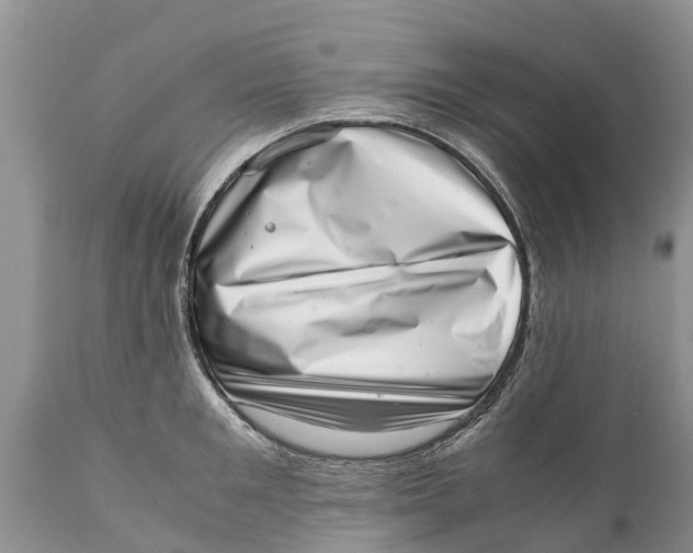 X0000111920901200908171321