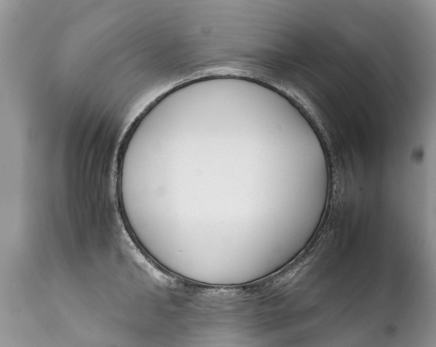 X0000111920902200908171321