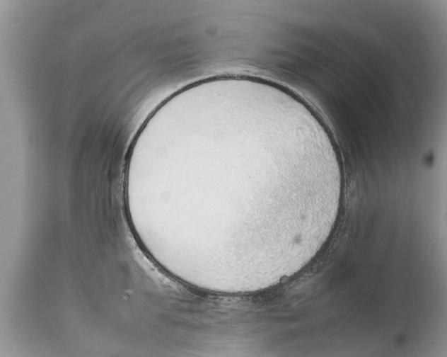 X0000111920903200908171321