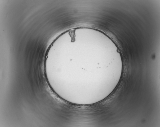 X0000111920904200908171321