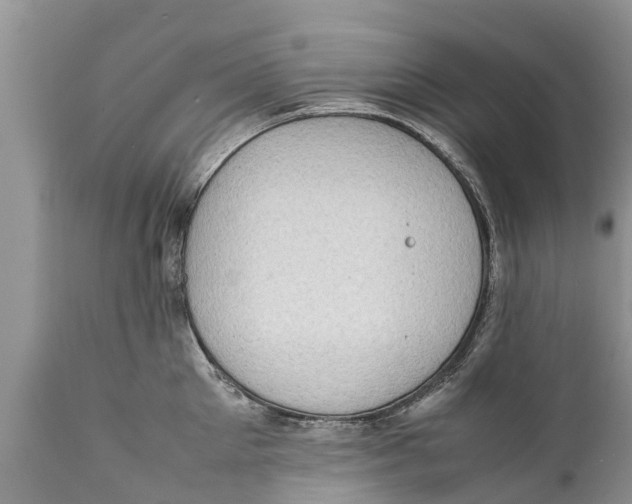 X0000111920905200908171321