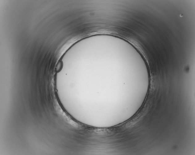 X0000111920906200908171321