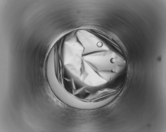 X0000111920908200908171321