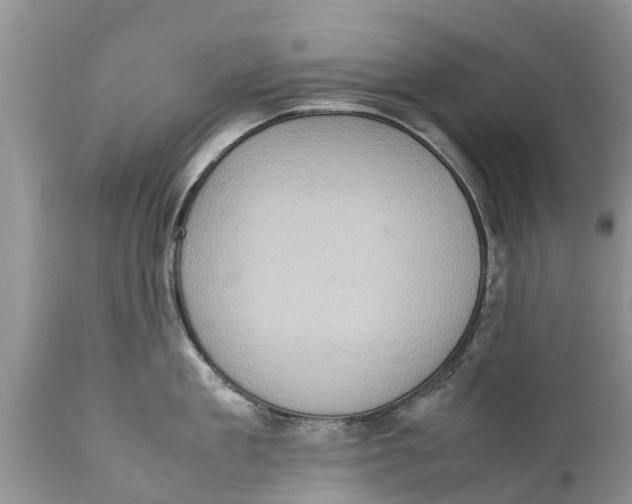 X0000111920909200908171321