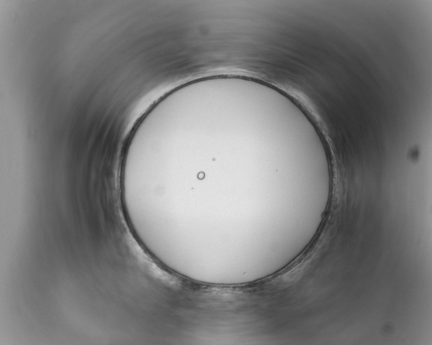 X0000111920910200908171321