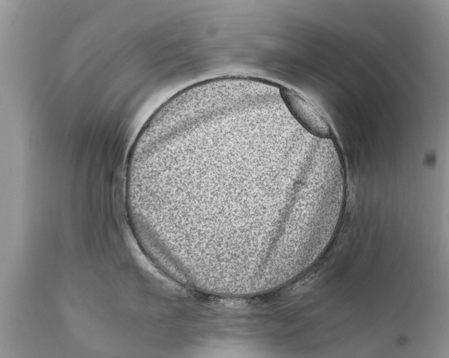 X0000111920911200908171321